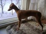 Yulya__DSC00092.JPG